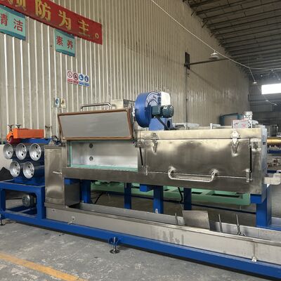 ভালো দাম 4 স্ট্রিপ পিপি স্ট্র্যাপ উত্পাদন লাইন ডাবল স্ক্রু 9mm অনলাইন